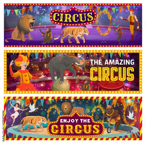 Circus show on big arena, clowns, jungles and trained animals. Vector tamer in big top circus, roaring lion and wild tiger. Juggling monkeys, elephant on ball, gymnast and burning circles, dove birds