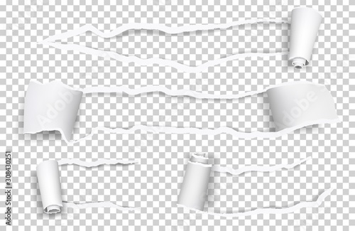 Torn paper. Ripped sheets, curl vector paper elements isolated on transparent background. Illustration torn edge, rip sheet curl