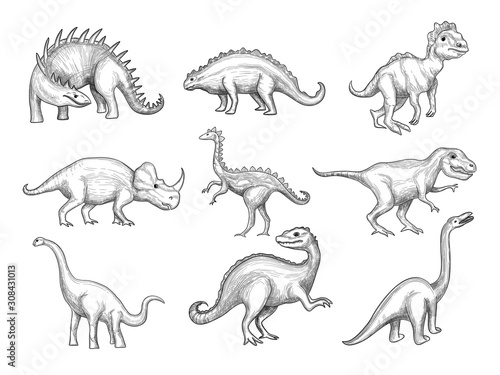 Fototapeta Naklejka Na Ścianę i Meble -  Dinosaurs collection. Extinction wild herbivorous angry animals in paleontology ages vector sketch drawn pictures. Sketch herbivorous and prehistoric reptile illustration