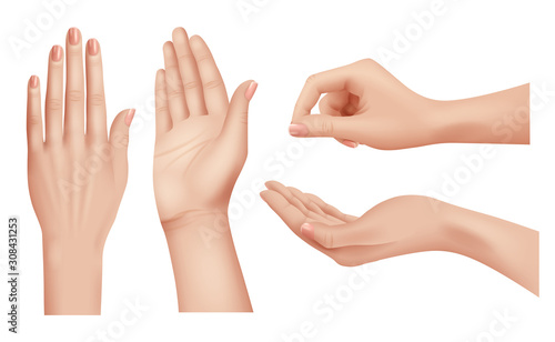 Hands realistic. Gestures human palms and fingers pointing hand people communication language vector closeup template. Illustration realistic human hand, palm and finger nail