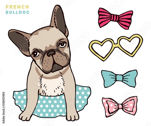 French bulldog. Cute puppy bulldog with accessorises. Dress up your dog vector illlustration. Bulldog french companion in dress
