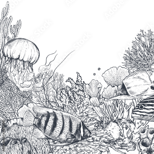 Vector monochrome coral reef background with tropical fishes