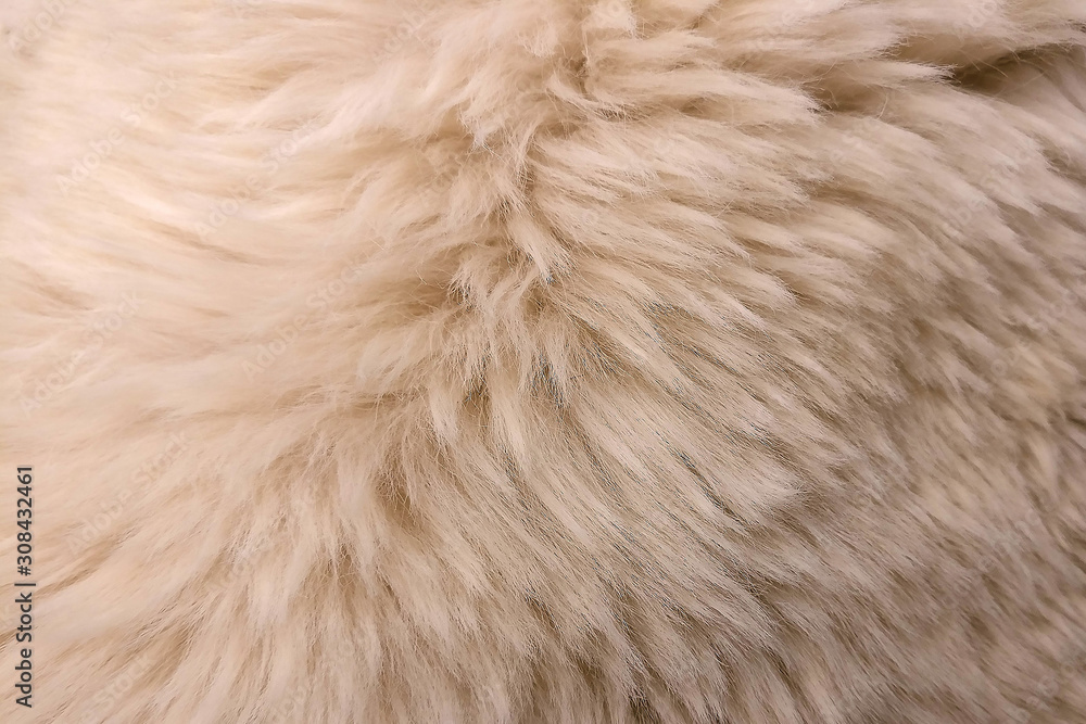 Beige wool texture with long hair, background Beige wool texture with long hair, background