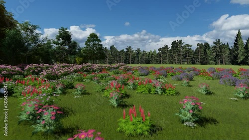 blooming wild flowers on the meadow at spring time