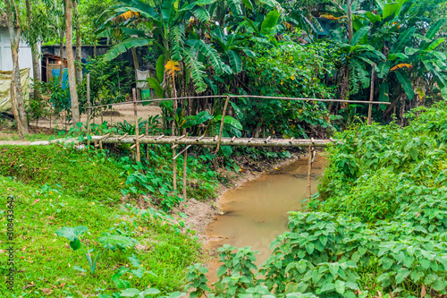 Bamboo bridge in Ramnagar village near Srimangal, Bangladesh photo