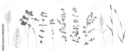Set of vector illustration with the image of decorative flowers, branches and herbs. Great design for any purpose.