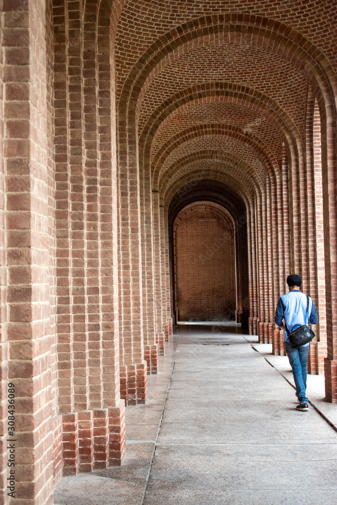 FRI-Forest Research Institute exposed bricks Architecture constructed with lime mortar