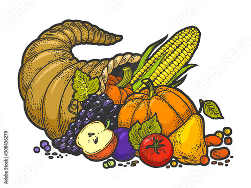 Cornucopia horn of plenty sketch engraving vector illustration. T-shirt apparel print design. Scratch board imitation. Black and white hand drawn image.