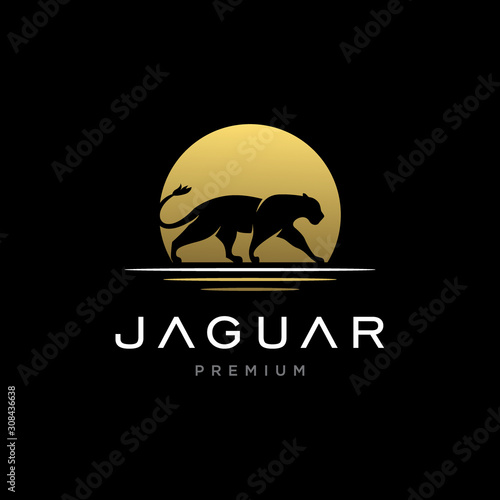 Jaguar / Cheetah / Lion logo design