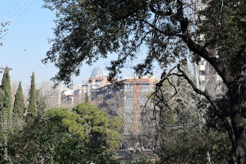 View of Spanish City Buildings seen through Trees 3416-039
