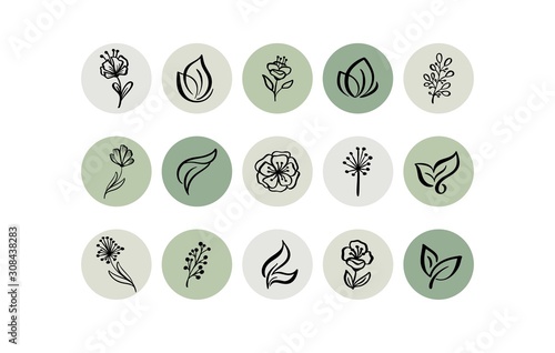 Green Highlight Cover Icon. Highlight Story Natural. Hand Drawn Floral Logo. Logo Template for photographer, fashion blogger, yoga studio. Monoline style Herb. Botanical Floral Illustrations