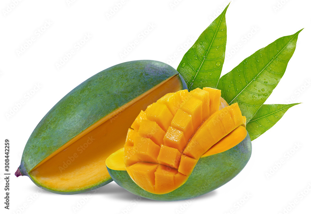 Green mango fruit isolated on white background