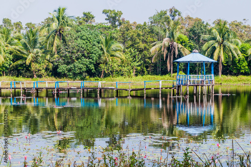 Small pond in Harbaria eco park  in Sundarbans, Bangladesh photo