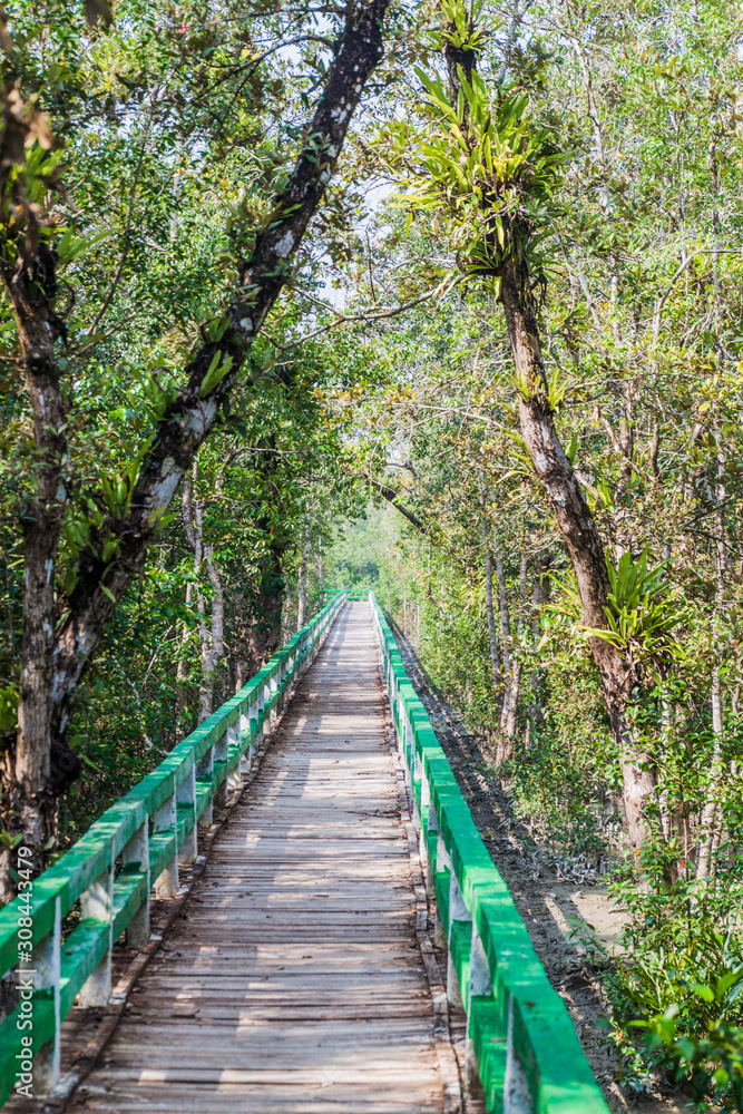 Boardwalk in Harbaria eco park in Sundarbans, Bangladesh Boardwalk in Harbaria eco park in Sundarbans, Bangladesh