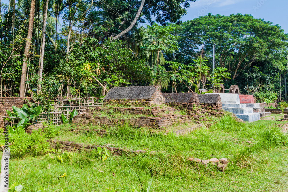 Fototapeta premium Cemetery near Zinda Pir mosque in Bagerhat, Bangladesh