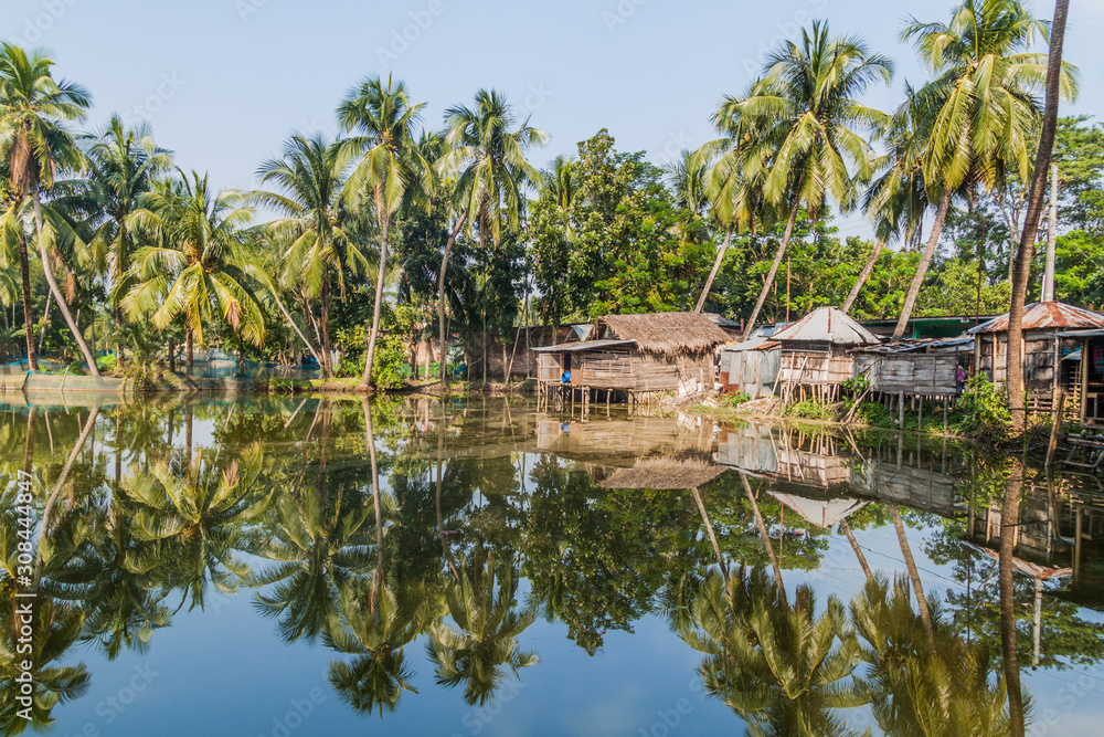 Palms and village houses reflecting in a pond in Bagerhat, Bangladesh
