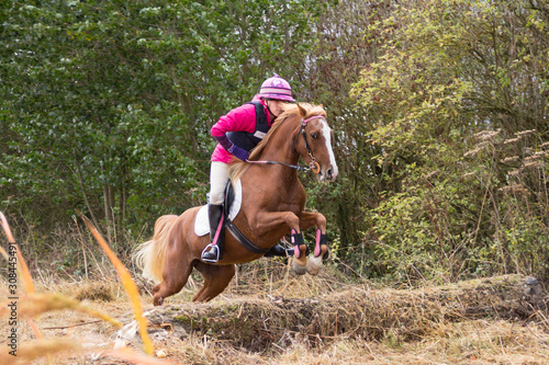 Young woman and her pretty chestnut pony jumping a log whilst riding outdoors in the english countryside.