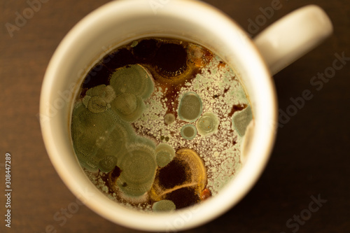 Food mold - moldy tea in cup with mold fungi on surface  
