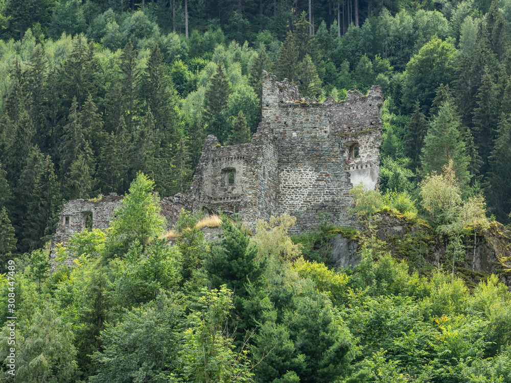 Ruin of the medieval central-european castle