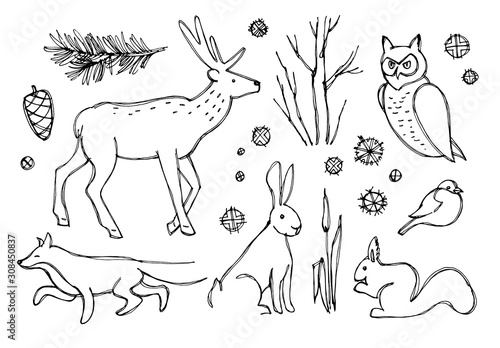 Vector illustration. Set with animals for Christmas cards. Line drawing, sketch.
