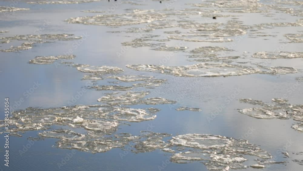 Pieces of broken ice floating calmly in blue water of river outside on sunny warm winter or spring day. Thaw and start of spring concept. Real time full hd video footage.