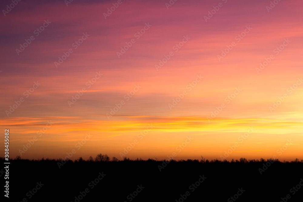 Sunset over the forest, red, yellow, purple clouds