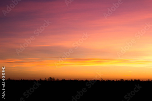 Sunset over the forest, red, yellow, purple clouds