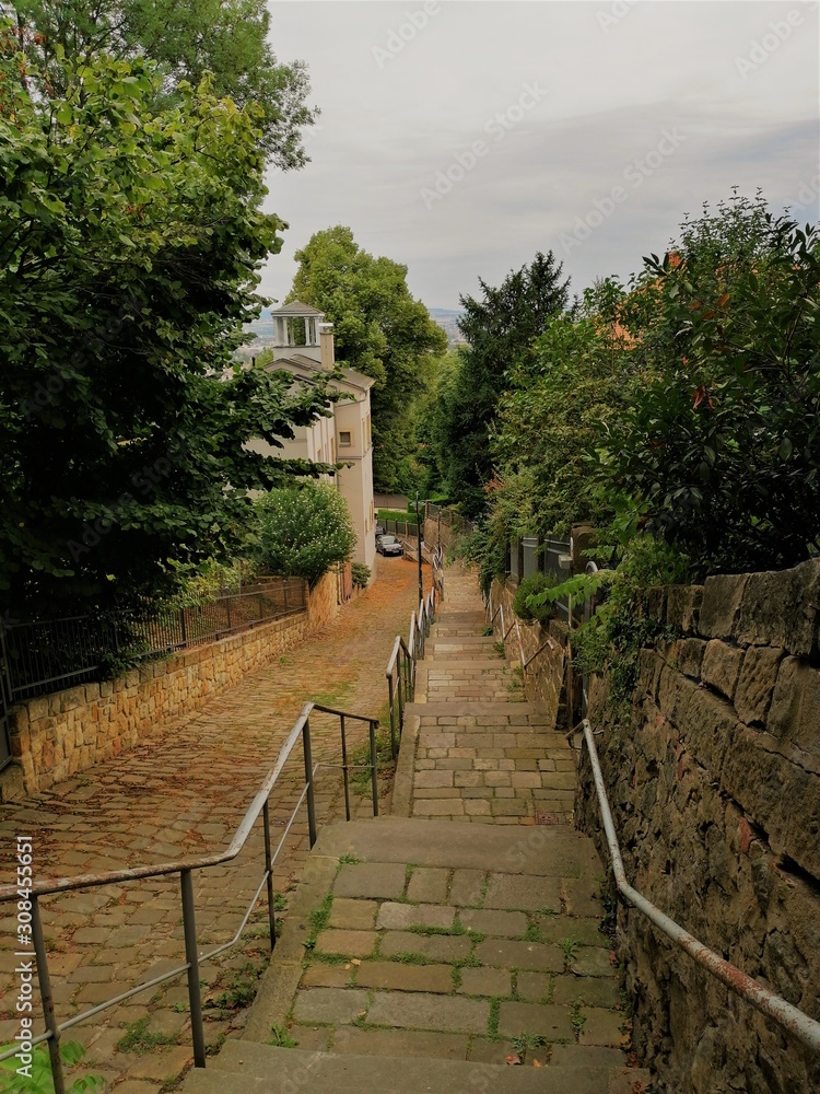 Pathway in Town