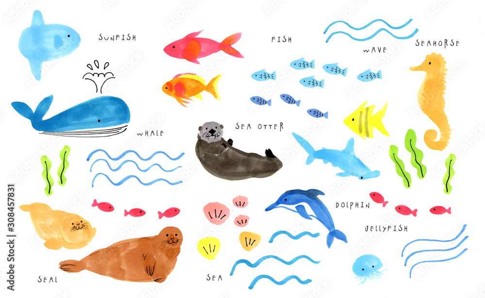 海の生き物の手書きイラスト Stock Illustration Adobe Stock