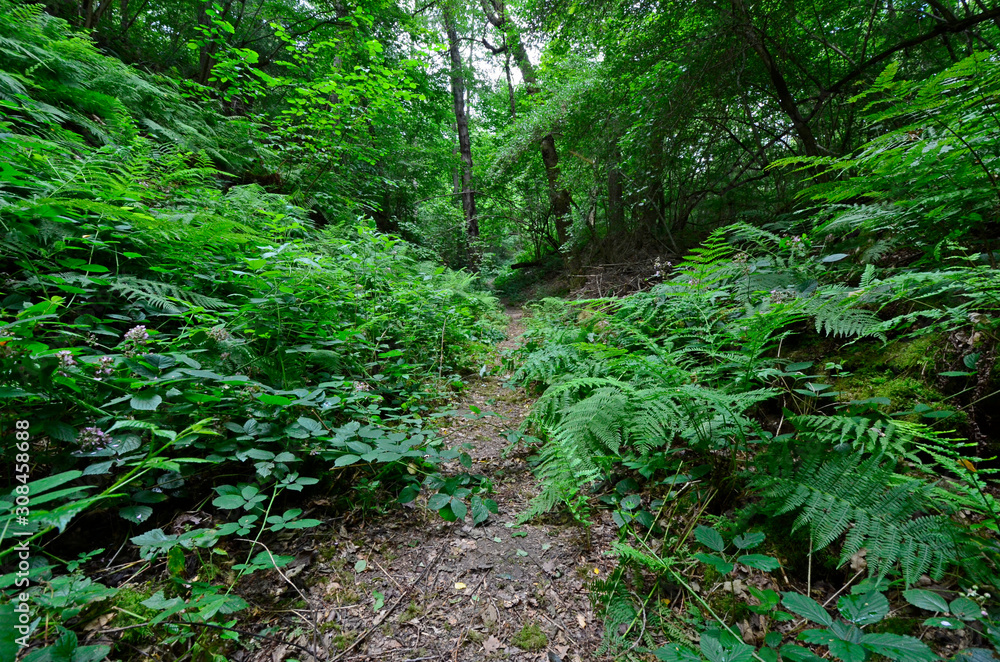 weg zsteinbruch weg zsteinbruch