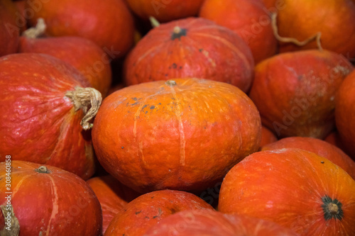 Fresh orange pumpkins as a background