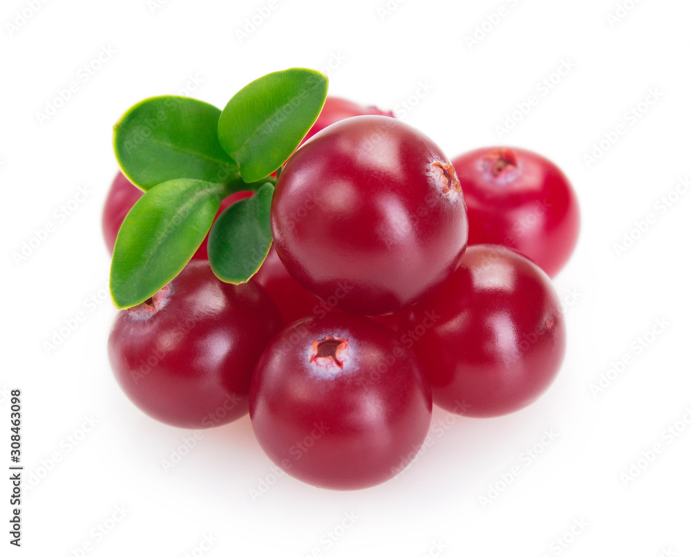 Fresh cranberry isolated on white background Fresh cranberry isolated on white background