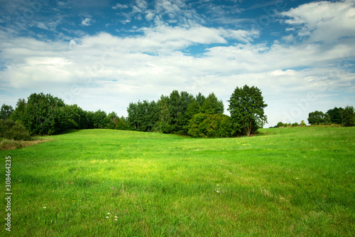 Fototapeta Naklejka Na Ścianę i Meble -  Beautiful green meadow, trees and white clouds on the sky