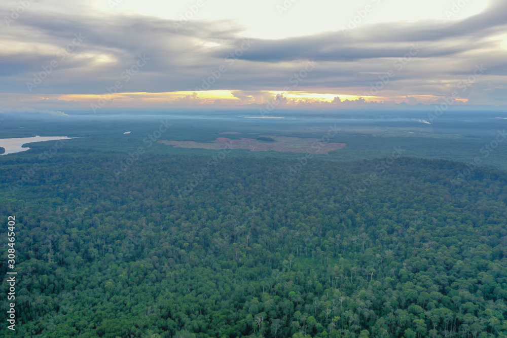 Aerial view foggy and misty morning green landscape of tropical mangroves and Borneo Rain Forest in Sabah Borneo, Malaysia. Sustainable and biodiversity mangrove forest reserve. Aerial view foggy and misty morning green landscape of tropical mangroves and Borneo Rain Forest in Sabah Borneo, Malaysia. Sustainable and biodiversity mangrove forest reserve.