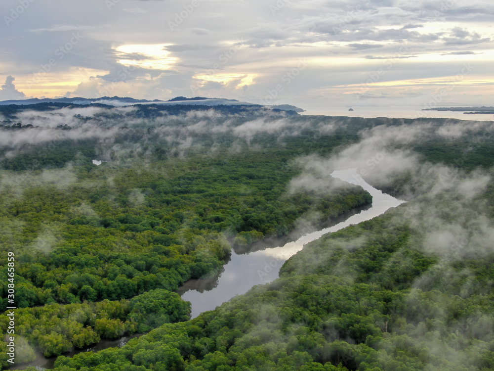 Aerial view foggy and misty morning green landscape of tropical mangroves and Borneo Rain Forest in Sabah Borneo, Malaysia. Sustainable and biodiversity mangrove forest reserve.