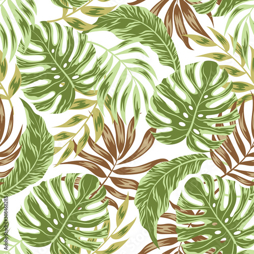 Tropical seamless pattern. Plants and leaves on white background. Seamless exotic pattern with tropical plants. Vector background for various surface. Jungle leaves. Botanical pattern.