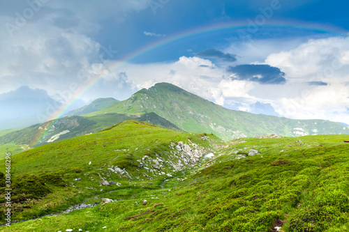 Alpine meadow in beautiful Rodna mountains in Romania