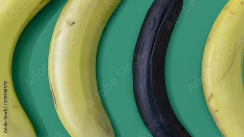 One overripe banana among yellow bananas isolated on green background photo