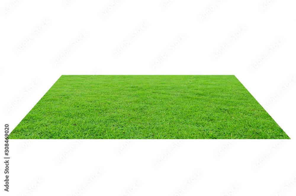 Naklejka Green grass field isolated on white background with clipping path.