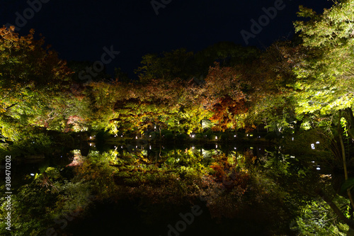 京都の東寺と紅葉の夜景 © zum