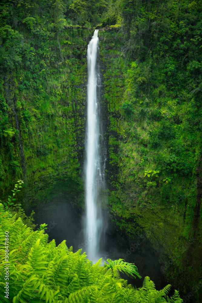 Akaka Falls on Big Island Hawaii, USA