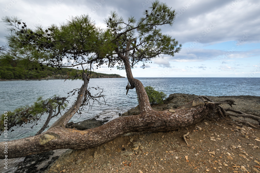 The coast of Mediterranean sea The coast of Mediterranean sea