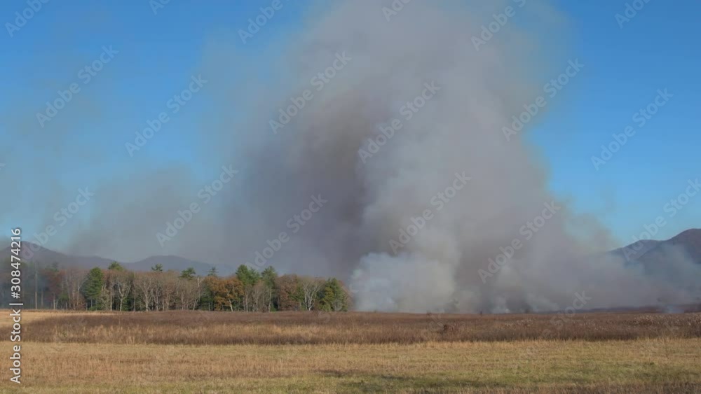 A controlled burn in Cades Cove of Great Smoky Mountains National Park A controlled burn in Cades Cove of Great Smoky Mountains National Park