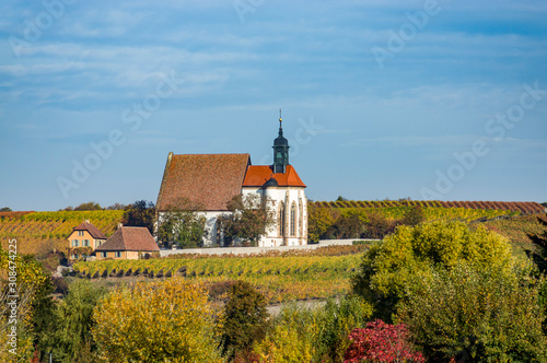 Landschaft in Unterfranken, farbenfrohe Weinberge mit bunten Blättern in Herbstfarben,  Wallfahrtskirche Maria im Weingarten, Herbststimmung und blauer Himmel bei Sonnenschein nahe der Stadt Volkach photo