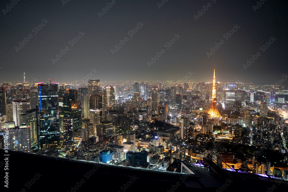 Fototapeta premium Beautiful panoramic view of Tokyo's skyline