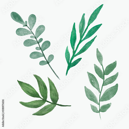 Beautiful vector watercolor decoration made of green hand drawn leaves with copy space, frame for invitations, print, set of branches