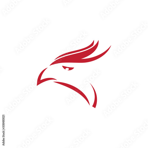 Falcon eagle birdWave Logo Template vector symbol