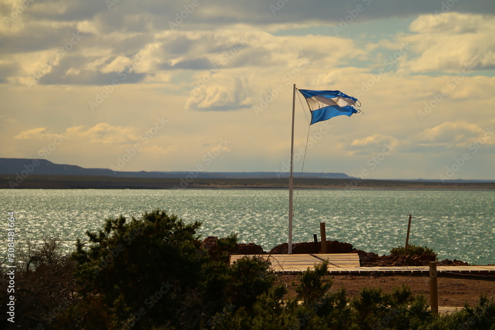 bandera argentina flameando sobre cielo nublado