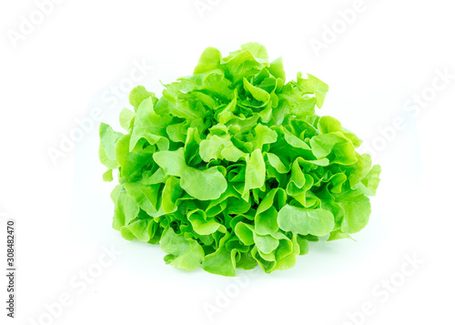 fresh green oak lettuce leaves vegetable or salad isolated on white background with clipping path