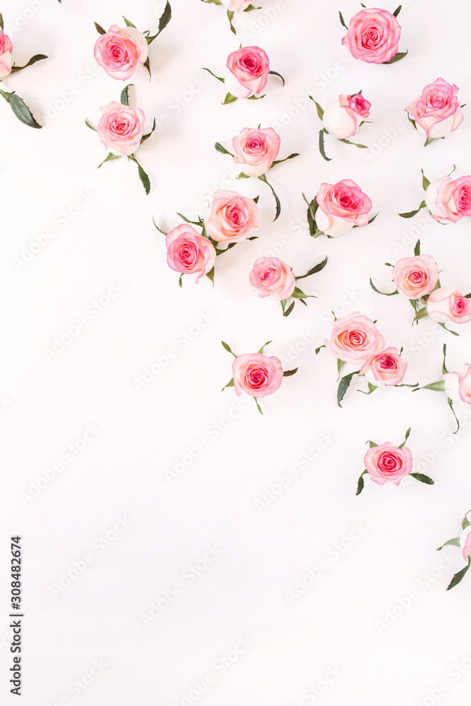 custom made wallpaper toronto digitalFlat lay pink rose flower buds and leaves pattern on white background. Top view.